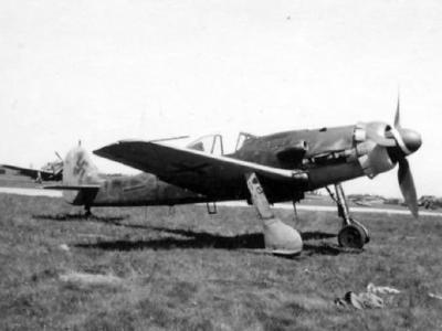 Focke Wulf Fw 190D 22