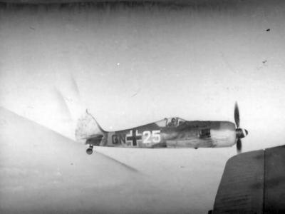 Focke Wulf Fw 190 GN+25 in flight during World War II