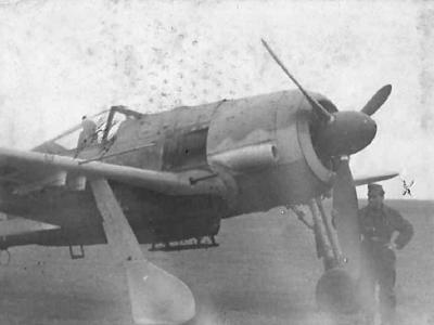 Focke Wulf Fw 190F front view 2