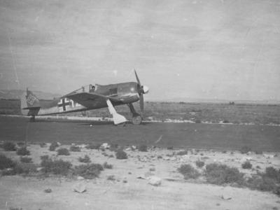 Focke Wulf Fw 190 white 12 Siclily Italy
