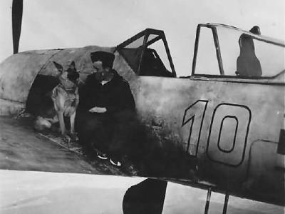Fw 190 A white 10 of 10/JG 51 Otto Gaiser Smolensk Febr 1943