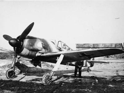 Fw 190 on field airfield