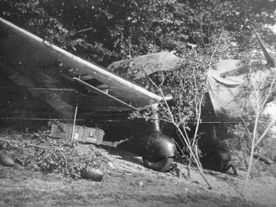Junkers Ju87 camouflage
