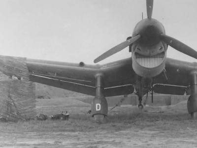 Junkers Ju 87 front view 2