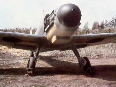Messerschmitt bf 109g color 22