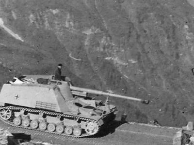 Panzerjager Nashorn Hornisse German tank destroyer 2