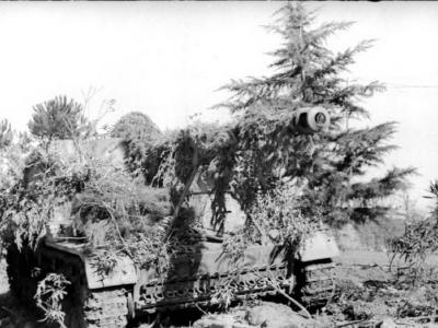 camouflaged Panzerjager Nashorn Hornisse of 525th Schwere Panzerjager Abteilung Italy