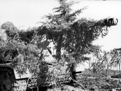 camouflaged Panzerjager Nashorn Hornisse of 525th Schwere Panzerjager Abteilung Nettuno Italy 2