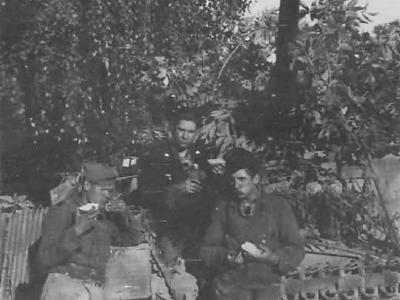 Panzer IV Holland 1944