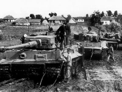 Tiger I tanks number 332 321 331 of sPzAbt. 503 during field exercises