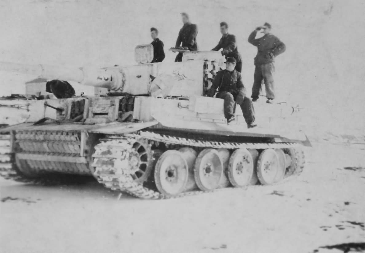 Panzer VI Tiger of Schwere Panzer-Abteilung 505, tank number 231