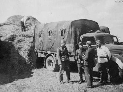 Ford V 3000 S Ukraine 1941