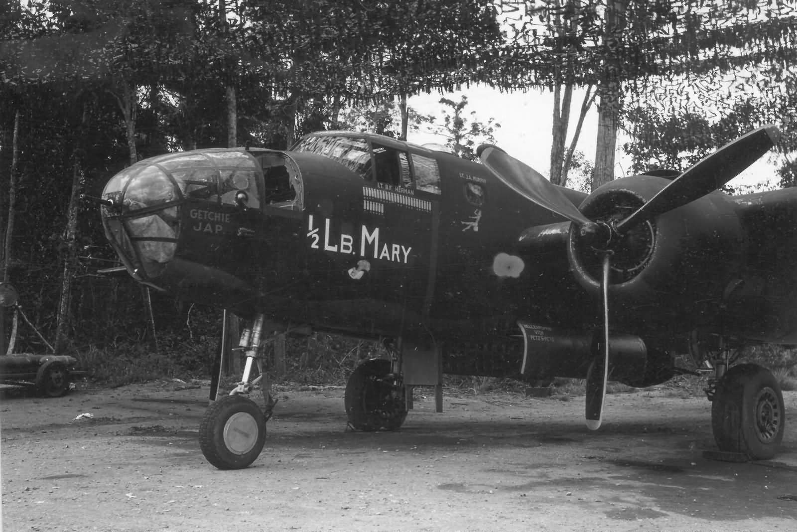 B-25_38_Bomb_Group_1942_1-2_lb_Mary_nose_art.jpg