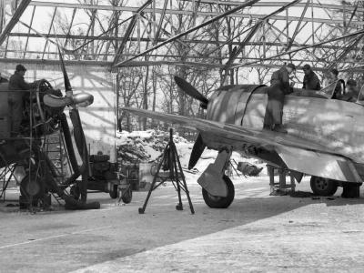 365th Fighter Group P-47 Thunderbolts