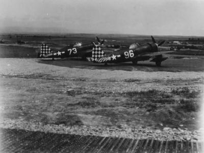 P-47 Thunderbolts 73 and 96 of the 325th Fighter Group