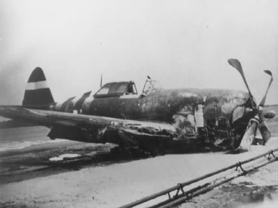 crashed P-47 Thunderbolt with D-Day invasion stripes