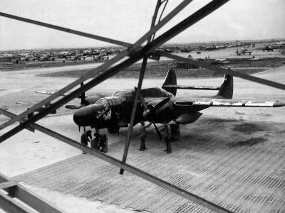 P-61B Black Widow Beautiful Ass of the 414th Night Fighter Squadron