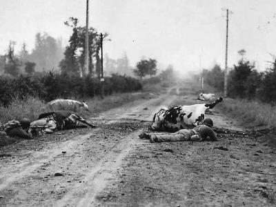 US troops use dead cows as cover on road to Perier