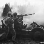 Soldiers of the 461st anti aircraft Battalion fire a 40mm Bofors gun at ground targets near Monschau Germany 1944
