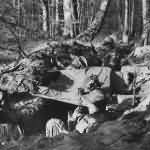 US 7th Army Troops in Foxhole in Bienwald Forest Scheibenhardt Germany 1945