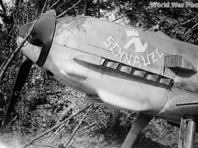 Bf109E-3 „Schnauzl” of the JG 3 piloted by Josef Heinzeller