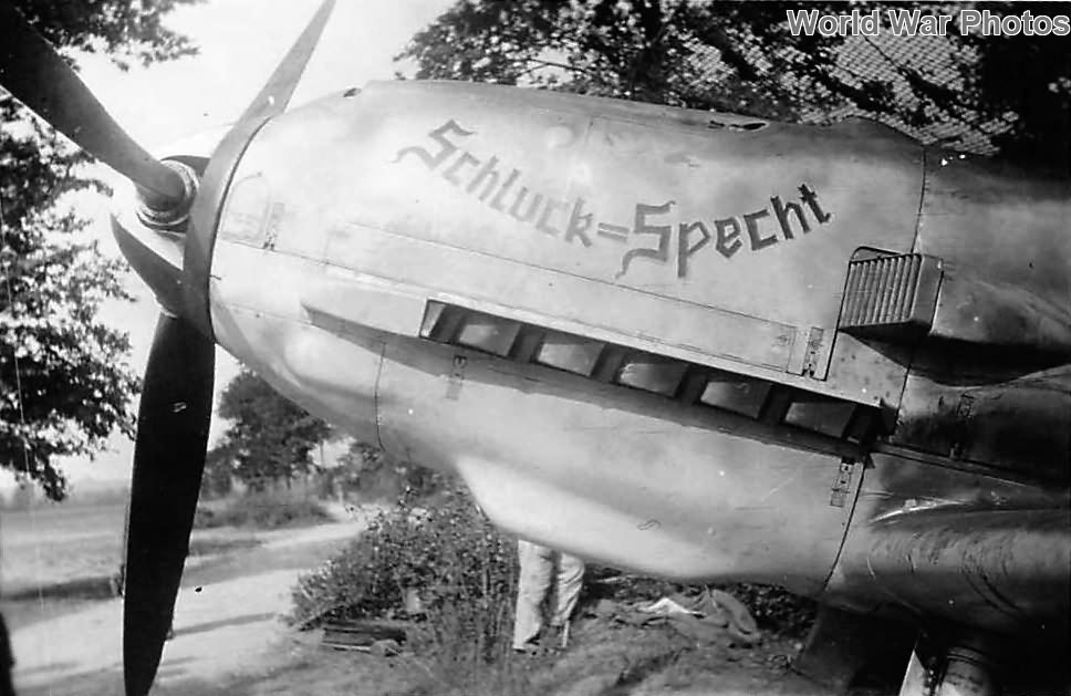 Bf109E of the JG 3 named Schluck=Specht, 1940