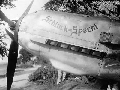 Bf109E of the JG 3 named Schluck=Specht, 1940