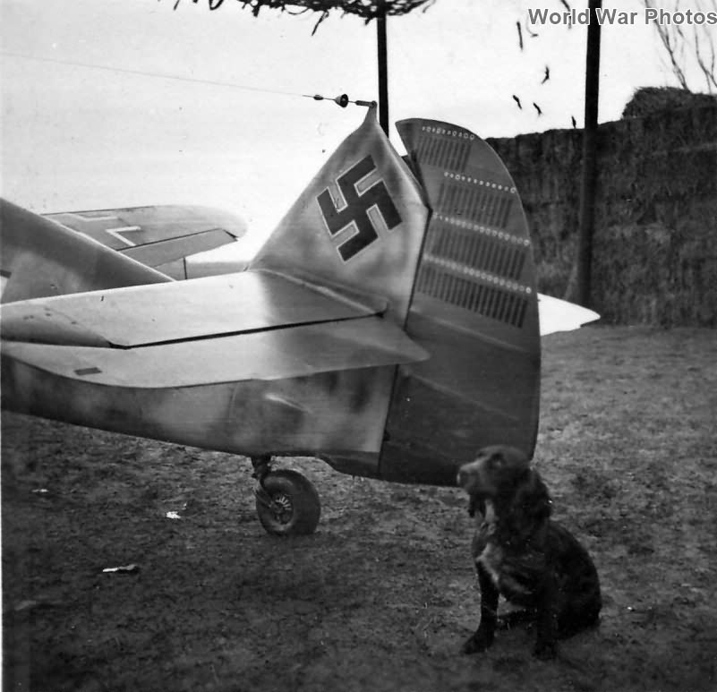 Tail of the Bf 109 F piloted by Ace Werner Mölders