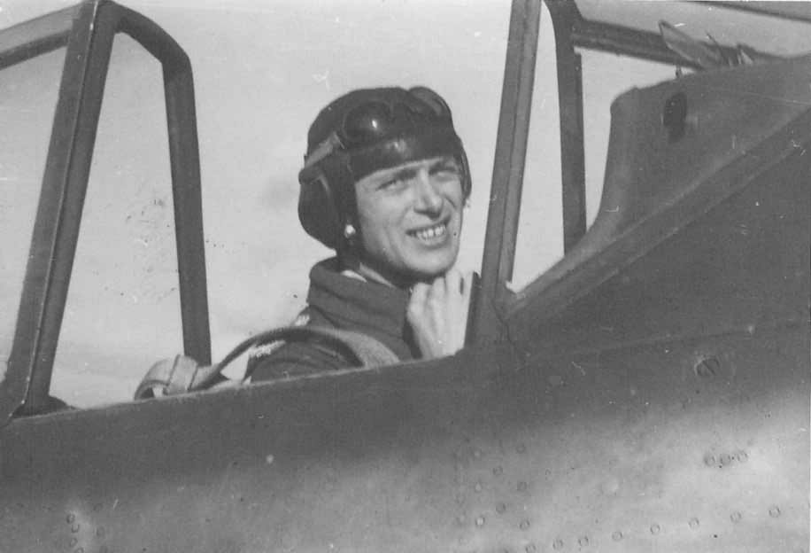 Fw 190 Luftwaffe pilot