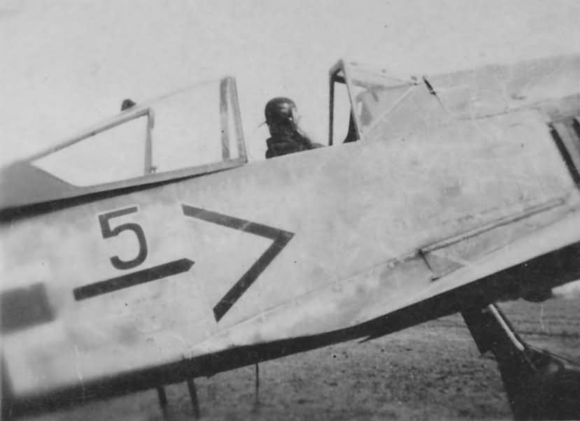 Fw 190 Stabsstaffel JG 51 Molders