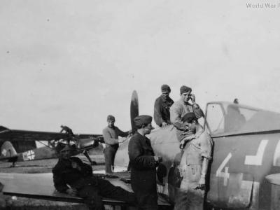 Fw190 8