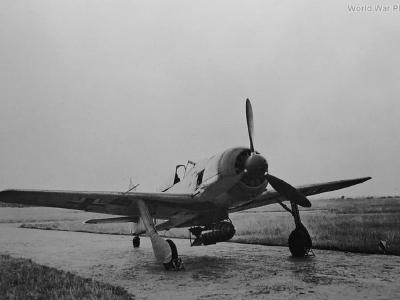 Fw 190 A-5/U8