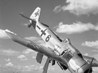 Fw 190A-8 Belgium