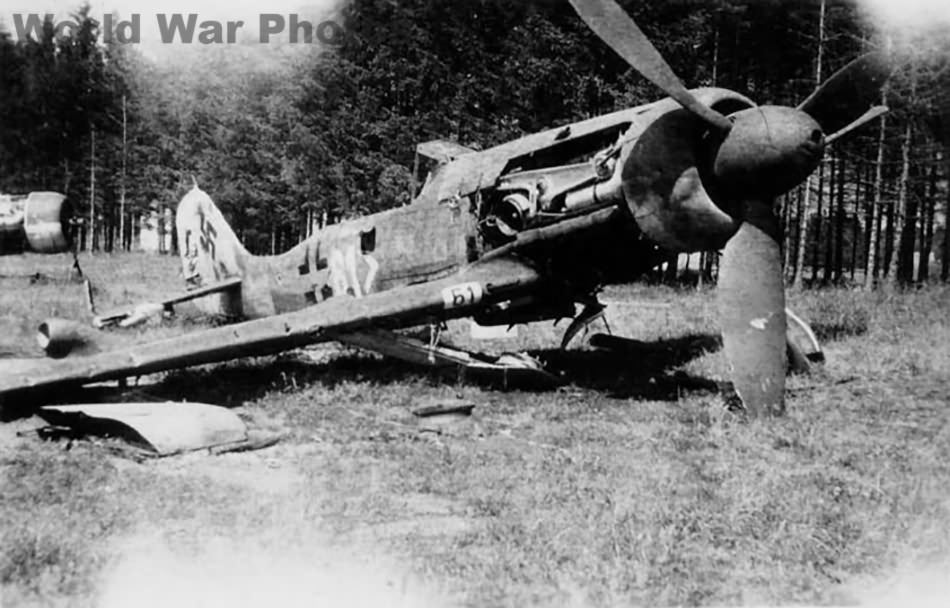 Focke-Wulf Fw 190D „white 61”