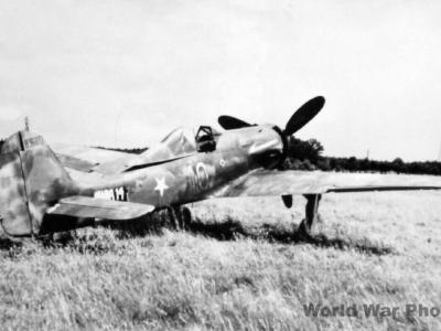 Captured „Dora” Fw 190 D-13 836017 Stab/JG 26