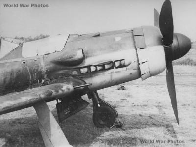 Focke-Wulf Fw 190D-9 nose