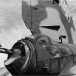 He 177 tail gunner