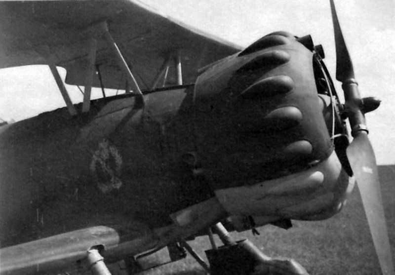 Henschel Hs 123 of the 1.(S)/LG 2 during Operation Barbarossa, Michalitzki August 1941