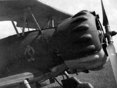 Henschel Hs 123 of the 1.(S)/LG 2 during Operation Barbarossa, Michalitzki August 1941