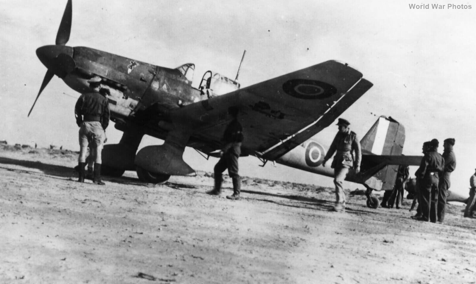 Ju 87D 213 Sqn RAF (ex. StG 1) North Africa
