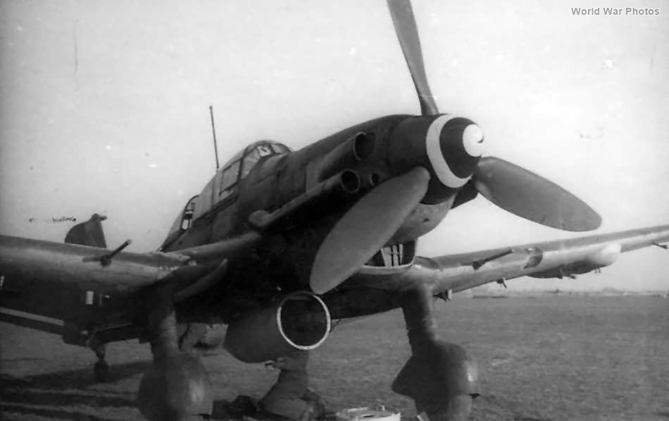 Ju 87 D-3 of the 2./NSGr 2 Koln-Ostheim March 1945