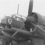Ju 88 A of II/KG 30 Amsterdam Schiphol 1940
