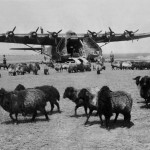 Me323 on the ground airfield