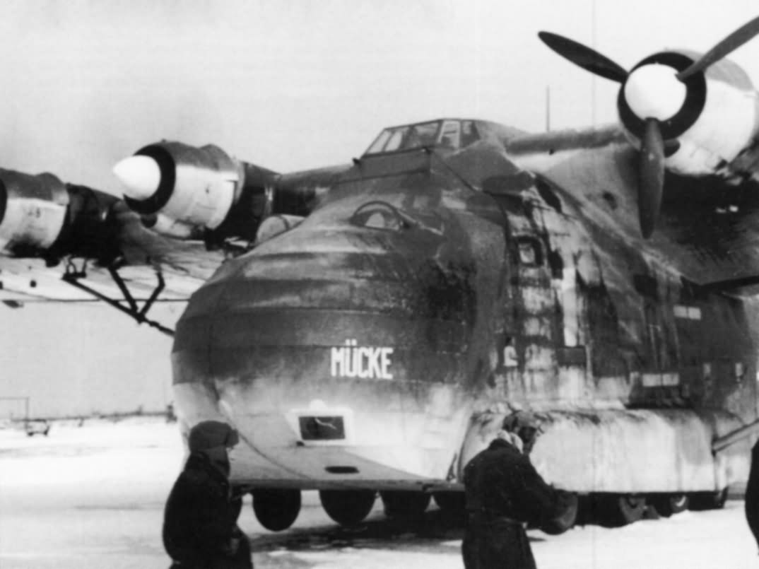 Me 323 „Mucke” of 5/TG 5