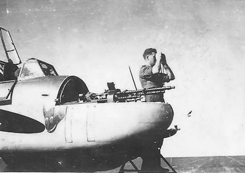 Messerschmitt Bf 110 nose art 7/LG2