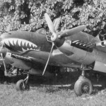 ZG76 Bf110 with sharks mouth nose art 1940