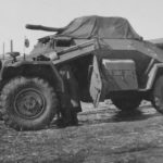 SdKfz 222 Eastern Front 1942