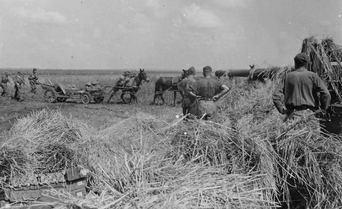 camouflaged Flak 88 Russia