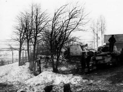 Bison winter camouflage