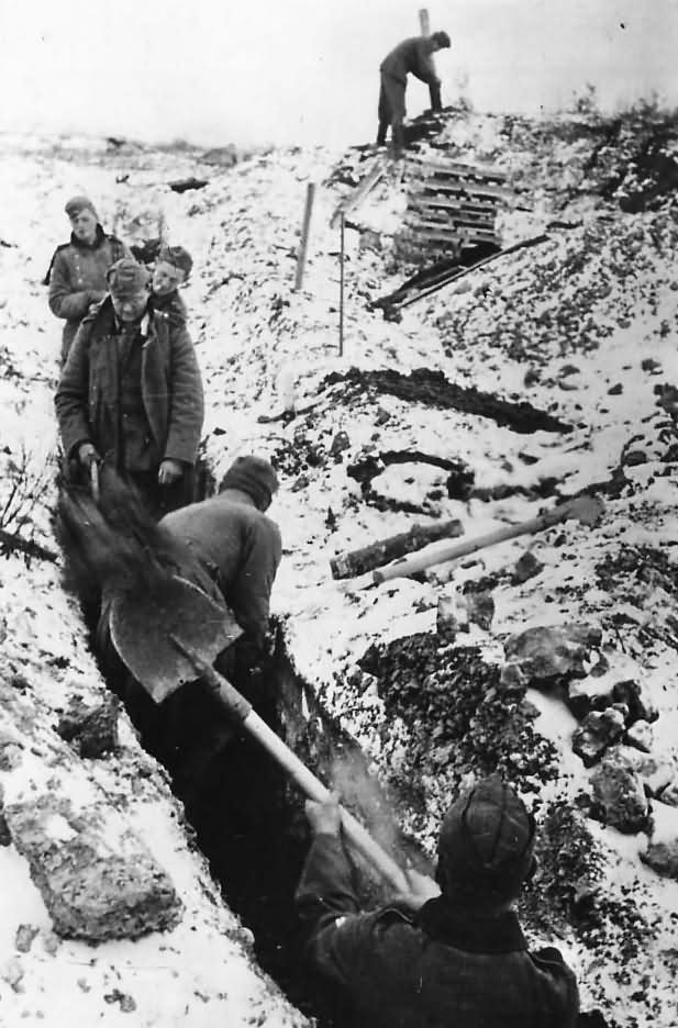 German Soldiers Digging Trenches on Leningrad Front 1941